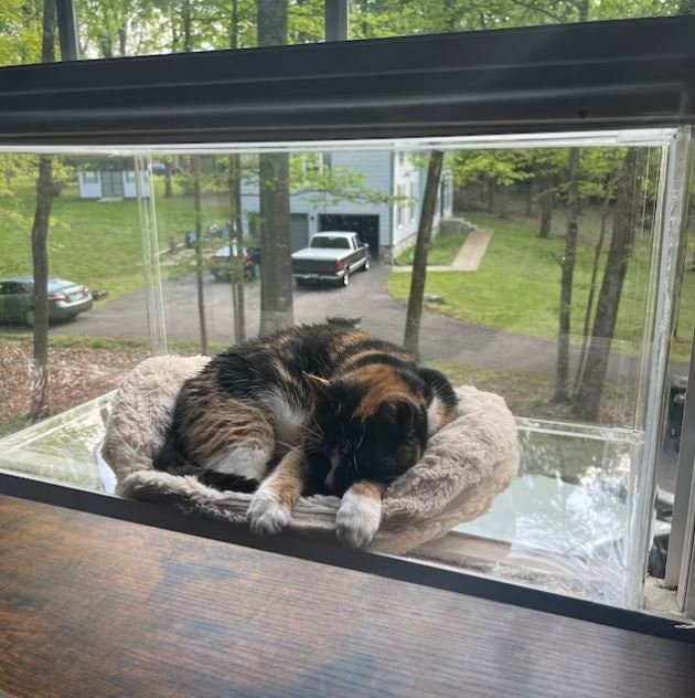 Window Catio for Custom Fit (24”-36” Windows)