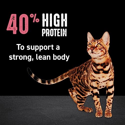 CRAVE Grain-Free High Protein Cat Food, Chicken & Salmon