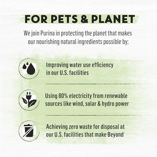 Purina Beyond Natural Dry Cat Food, Salmon Recipe