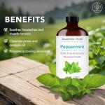 Majestic Pure Peppermint Essential Oil - 118 ml