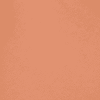 Terracotta Indoor Food Composter by Bamboozle