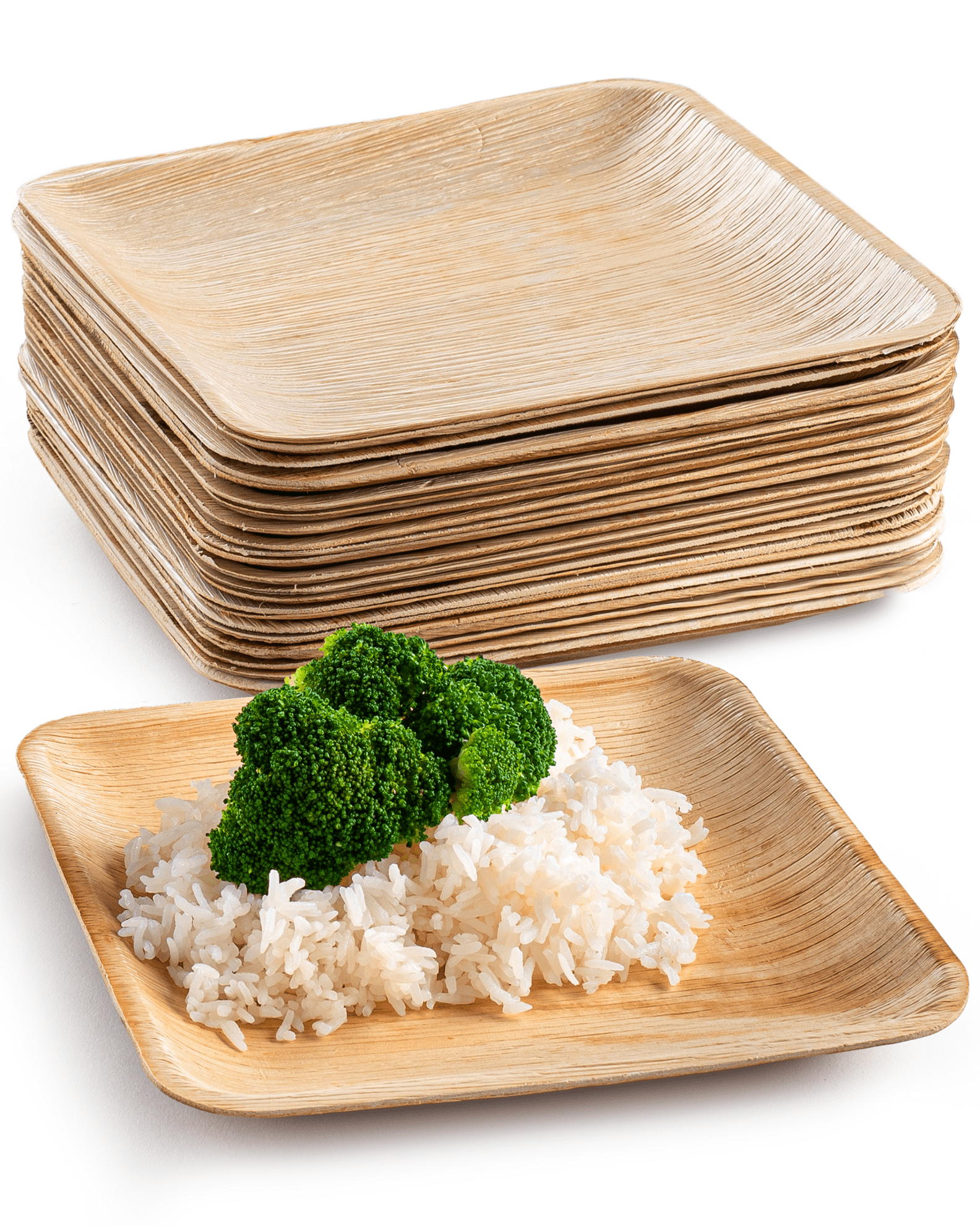 100-Pack Biodegradable Palm Leaf Plates