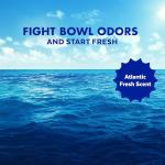 Eco-Friendly Toilet Bowl Cleaner, 48oz (2x24oz)