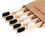 Eco-Friendly Brushes for Your Home