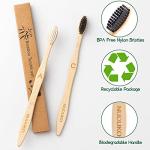 Eco-Friendly Brushes for Your Home