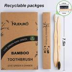 Eco-Friendly Brushes for Your Home