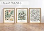 Sage Green Vintage Wall Art Set of 3