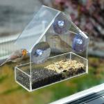 Ram Window Bird Feeder with Suction Cups