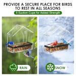 Clear Window Bird Feeder with Strong Suction Cups