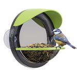 Window Bird Feeder with Bird Guide for Kids