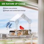Clear Window Bird Feeder with Strong Suction Cups