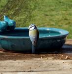Petrol Blue Round Ceramic Bird Bath