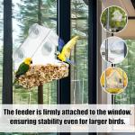 Clear Acrylic Window Bird Feeder with Suction Cups