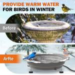 Heated Bird Bath for Winter Outdoor Use