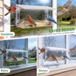 Clear Window Bird Feeder with Strong Suction Cups