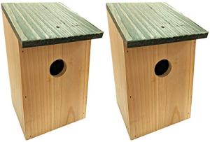 Wooden Nesting Boxes for UK Birds - 2 Pack