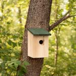 Wooden Bird Nesting Box for Small Wild Birds