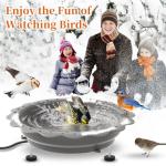 Heated Bird Bath for Winter Outdoor Use