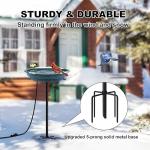 Heated Bird Bath with Metal Base - 75W