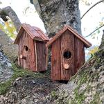 Wooden Birdhouse Nest Box Set for Garden