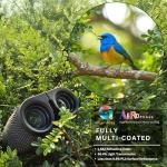 Compact 10x25 Binoculars for Bird Watching and Sport