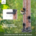 Kingsyard 2 Pack Outdoor Tube Feeders for Birds