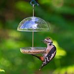 I Love Robins Pearl Bird Feeder - Small