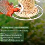 Heavy-Duty Stainless Steel Bird Feeder for Small Birds