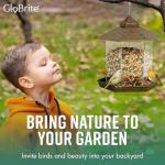 GloBrite Hexagon Bird Feeder for Gardens