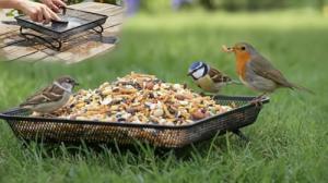 Metal Ground Feeder for Wild Birds, Easy Clean
