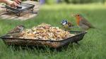 Metal Ground Feeder for Wild Birds, Easy Clean