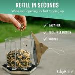 GloBrite Hexagon Bird Feeder for Gardens
