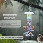 Heavy-Duty Stainless Steel Bird Feeder for Small Birds