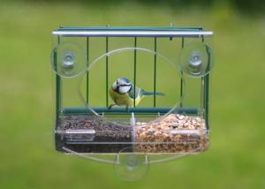 Pigeon-Proof Window Feeder with Seed Tray