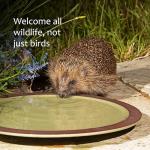 Ceramic Bird Bath for Garden Birds