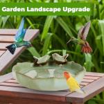 Ceramic Bird Bath for Wild Birds Outdoors