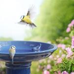 Blue Ceramic Bird Bath on Pedestal, 18" high