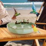 Ceramic Bird Bath for Wild Birds Outdoors