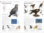RSPB Photographic Field Guide to British Birds