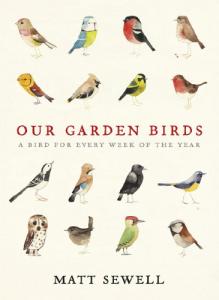 Stunning Illustrated Guide to British Garden Birds