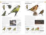 RSPB Photographic Field Guide to British Birds