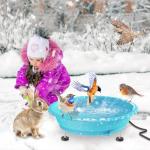 Heated Bird Bath for Winter Outdoor Use