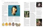 Illustrated Encyclopedia of British Birds and Habitats