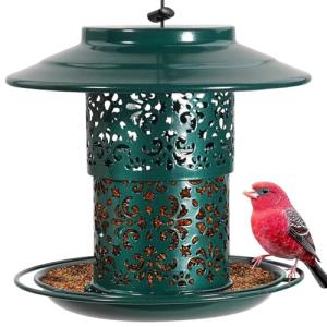 Hanging Metal Bird Feeder for Small Birds