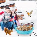Heated Bird Bath for Winter Outdoor Use