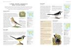 Illustrated Encyclopedia of British Birds and Habitats