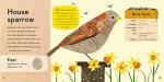 My First Bird Spotter Guide for Kids