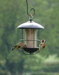 Supa Metal Lantern Wild Bird Seed Feeder