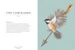 Bird Lore & Symbolism: Illustrated Guide Volume 2