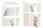 Illustrated Encyclopedia of British Birds and Habitats